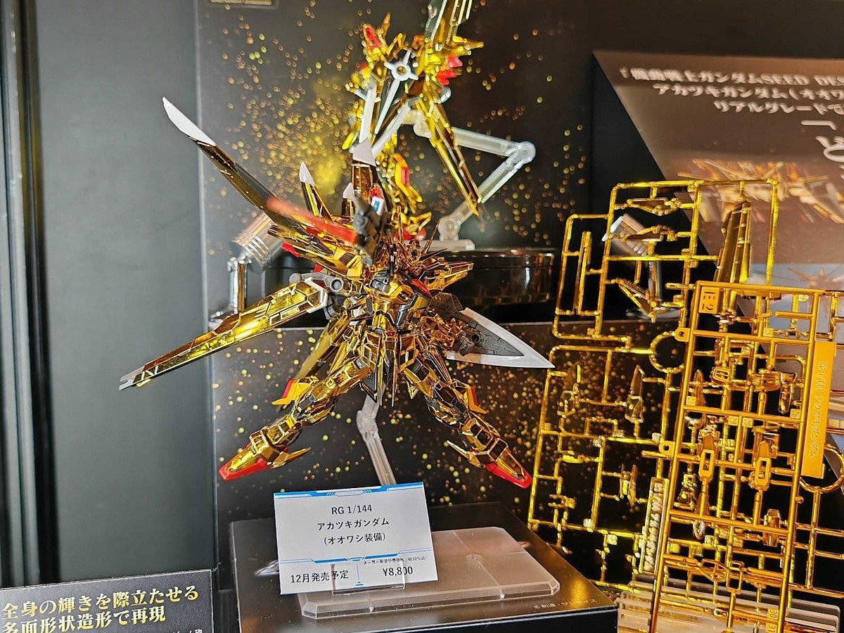RG 1/144 アカツキガンダム(オオワシ装備)(12/14発売! RG RG 1/144 アカツキガンダム(オオワシ装備)(12/14発売! RG