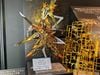 [Pre-order / Đặt trước] RG 1/144 Akatsuki Gundam - Oowashi Pack