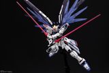 RG 1/144 Freedom Gundam