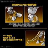 [Pre-order] 2023 07 - Figure Rise Standard Amplified SHINEGREYMON - Giá Order: 1040.k