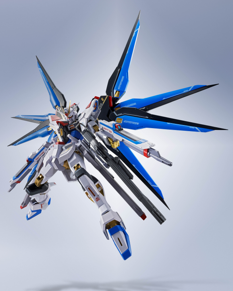 Metal Robot Spirits - SIDE MS - Strike Freedom Gundam Type 2