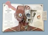  The Human Body Pop Up Guide to Anatomy 