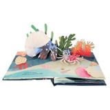  Shells: A Pop-Up Book of Wonder (4 Seasons of Pop-Up) 