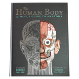 The Human Body Pop Up Guide to Anatomy 