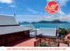 GẠCH SÂN VƯỜN