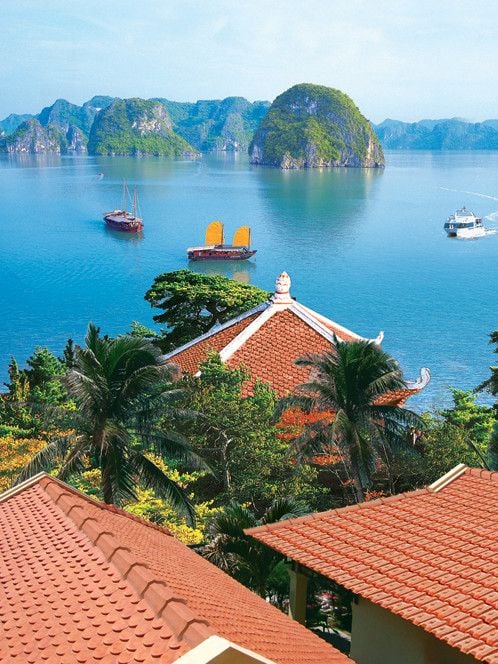 NGÓI VẢY CÁ