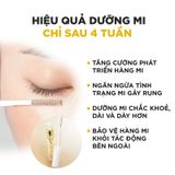 Tinh Chất Dưỡng Mi DHC Eyelash Tonic 6.5ml Eyelash Tonic [DHC] 