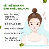  Viên uống Rau củ DHC chứa 32 loại rau củ, giảm táo bón, giảm nóng trong gói 60 viên (15 ngày)/ gói 120 (30 ngày)/ gói 360 viên (90 ngày) [DHC] 