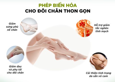  Viên uống thon gọn đùi, giảm sưng phù bắp chân DHC Melilot gói 60 viên (30 ngày) [DHC] 