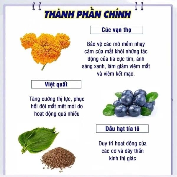  Viên Uống Bổ Mắt Việt Quất DHC Blueberry Extract Cải Thiện Thị Lực gói 60 viên (30 Ngày) và gói 180 viên (90 Ngày) [DHC] 