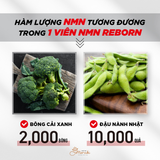  Thực phẩm bổ sung NMN REBORN - Thực phẩm bổ sung nội địa Made in Japan30 Days [NMN] 