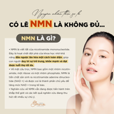  Thực phẩm bổ sung Levante NMN cao cấp - Thực phẩm bổ sung nội địa Made in Japan [NMN] 