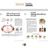  Thực phẩm bổ sung NMN ATHLETE WHITE BEAUTY+ - Trắng sáng, Căng bóng và Trẻ hóa toàn diện120 viên [NMN] 