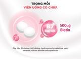  Viên uống DHC Biotin ngăn rụng tóc, hỗ trợ mọc tóc Biotin gói 30 viên (30 Ngày) [DHC] 