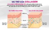  Nước uống Collagen DHC Nhật Bản hàm lượng 7000mg/lọ nuôi da căng mọng, ngăn ngừa thâm nám 10 lọ (1 hộp) [DHC] 
