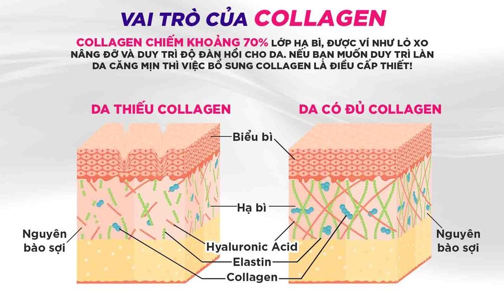  Nước uống Collagen DHC Nhật Bản hàm lượng 7000mg/lọ nuôi da căng mọng, ngăn ngừa thâm nám 10 lọ (1 hộp) [DHC] 