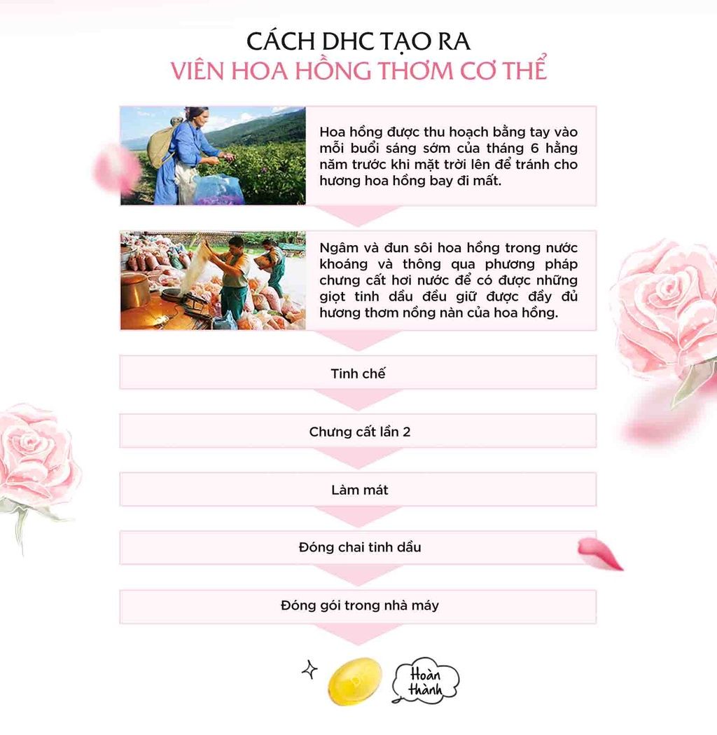  Viên uống thơm cơ thể DHC Rose giúp ngăn mùi, tỏa hương hoa hồng tự nhiên gói 60 viên (30 ngày) [DHC] 