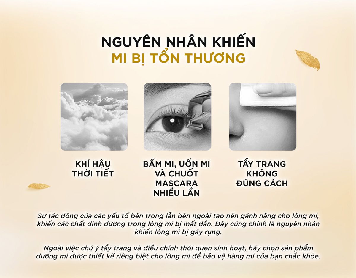  Tinh Chất Dưỡng Mi DHC Eyelash Tonic 6.5ml Eyelash Tonic [DHC] 