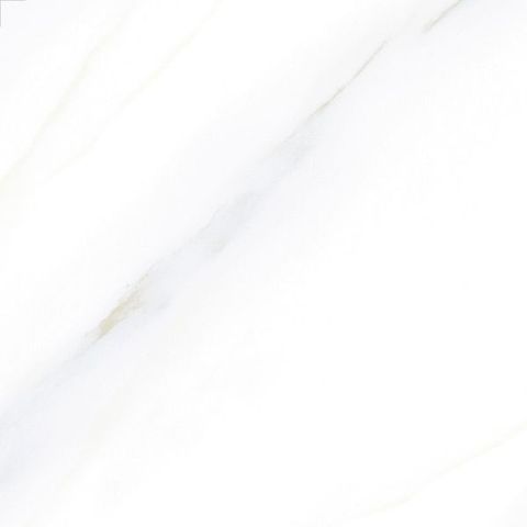 Gạch (40x40) GECKO 004