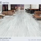 Gạch Taicera (60x120) G12094