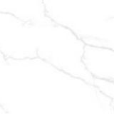 Gạch Taicera (60x120) GP12085