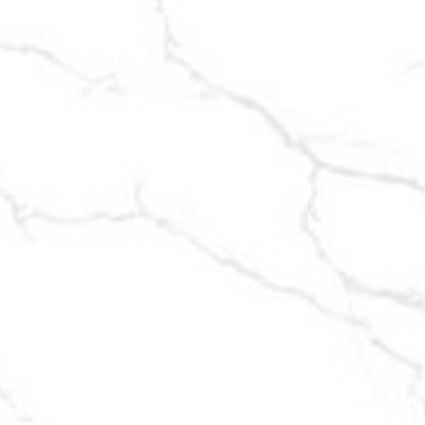 Gạch Taicera (60x120) GP12085