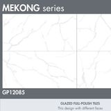 Gạch Taicera (60x120) GP12085