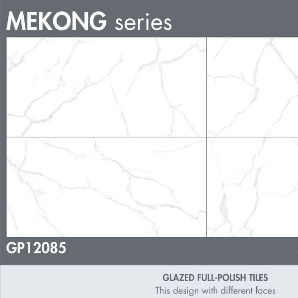 Gạch Taicera (60x120) GP12085