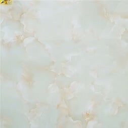 Gạch lát nền 1000x1000 HCT10111