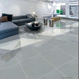 Gạch lát nền 1000x1000 P10702N