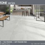 Gạch lát nền Taicera 600x1200 G12MXBL