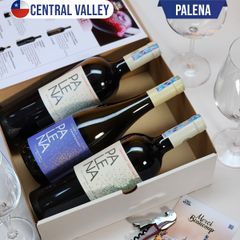 Bộ 3 Vang Chile PALENA