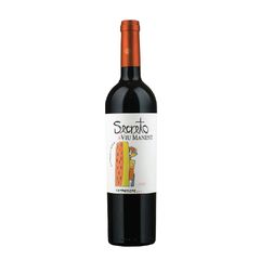 Vang Đỏ Chile SECRETO CARMENERE