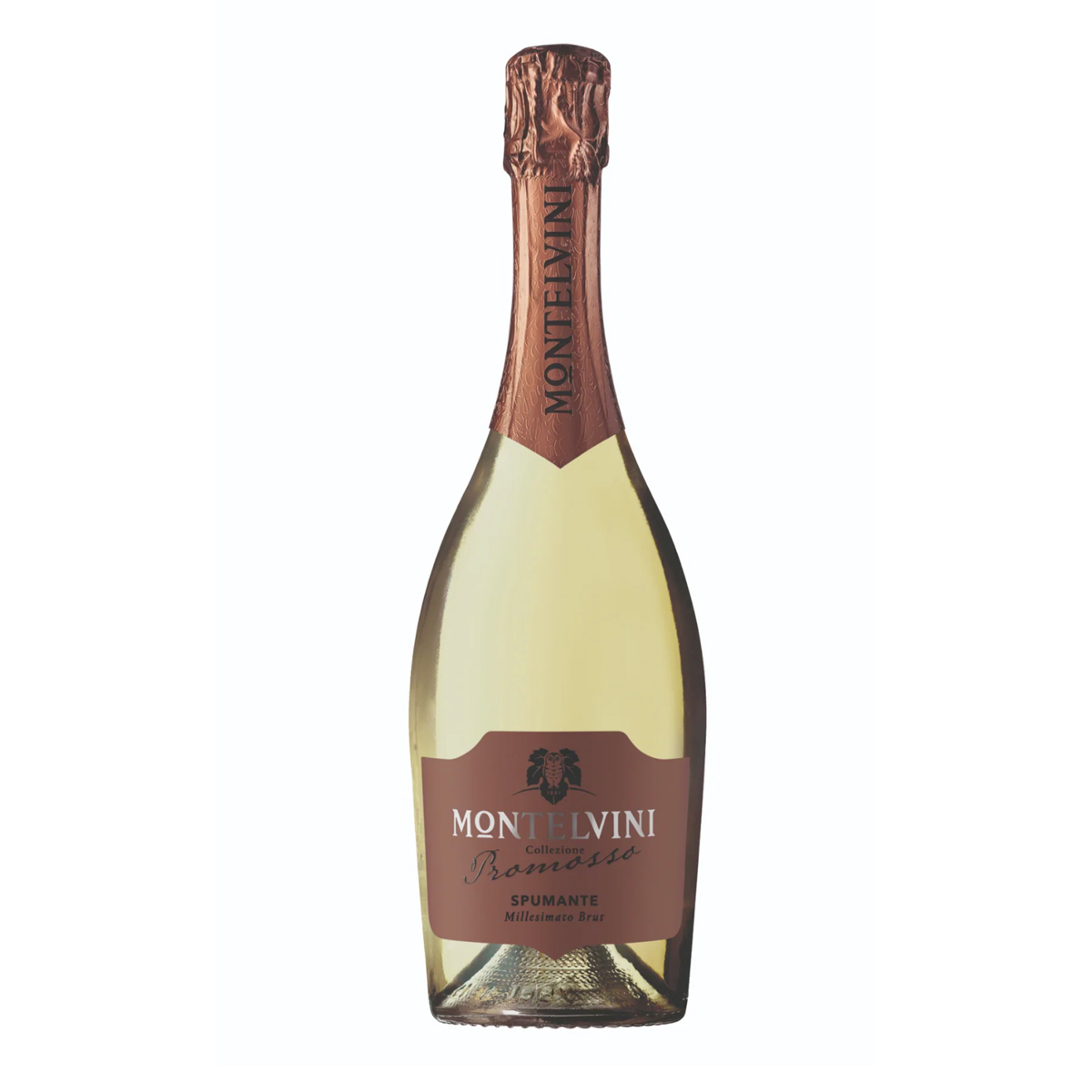 Vang Sparkling Italy MONTELNINI Promosso Spumante Brut11.5%