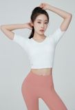  XT4202T_middle sleeve crop top 