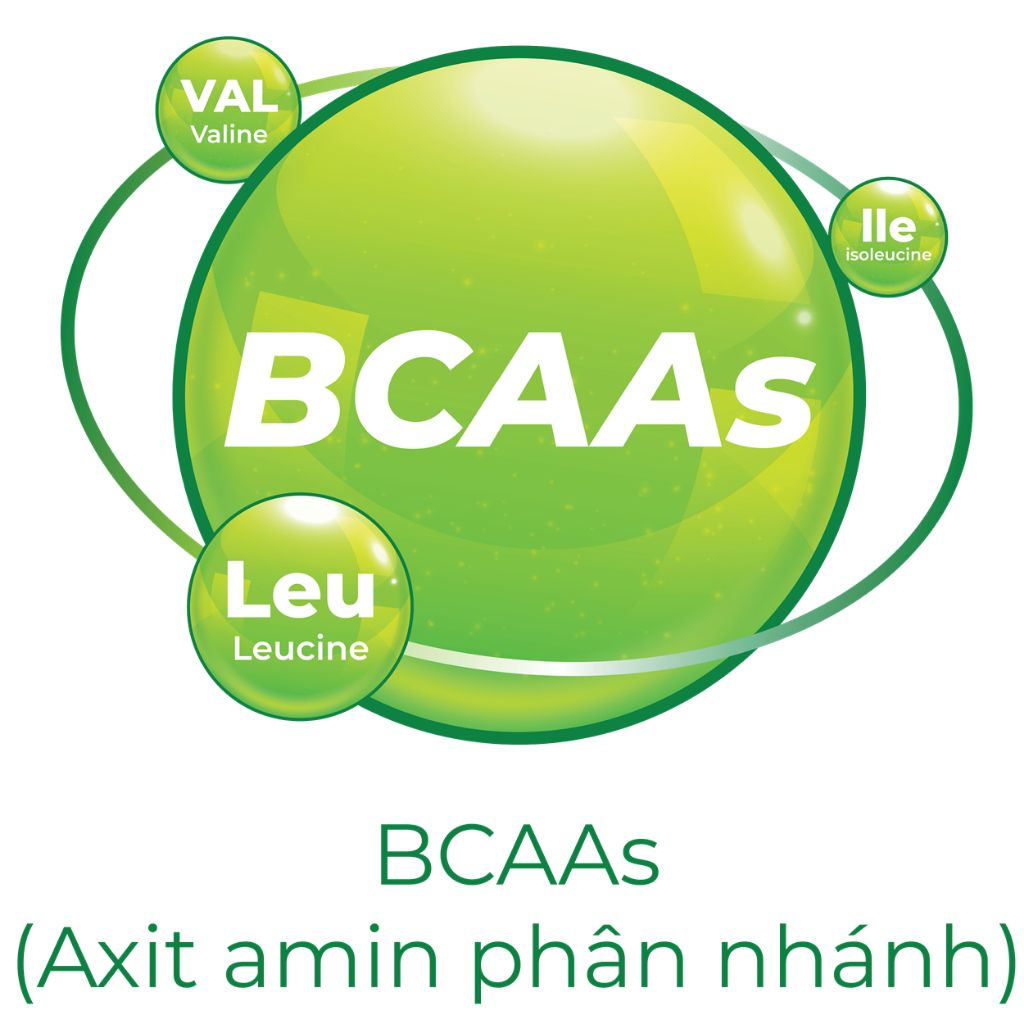 Sữa Hạt 25 Green Nutri Organic Avocado Lon 750g