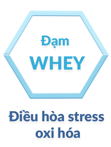 Sữa bột Nestlé Peptamen hỗ trợ cơ thể tăng hấp thu đạm, chất béo (400g)