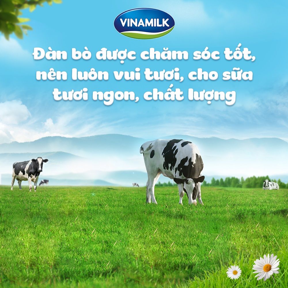 Thùng 48 Hộp Sữa Tươi Tiệt Trùng Vinamilk 100% ÍT Đường 180ml