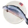 cahoituoinguyenconnauy