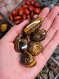  Tumbled Tiger's Eye (gr) Viên đá Đá Mắt Hổ 