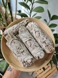  White Sage Smudge Stick 10cm (Bó Xô Thơm Trắng) 