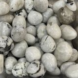  Tumbled Rainbow Moonstone (gr) Viên Đá Mặt Trăng 