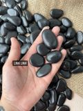  Tumbled đá Shungite (gr) 