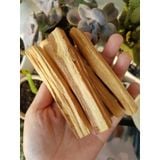  Gỗ thánh Palo Santo dùng trong thanh tẩy không gian, bài Tarot, thiền định, xông nhà 