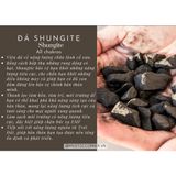  Tumbled đá Shungite bảo vệ, đá năng lượng, đá thanh tẩy, đá phong thủy trong Tarot, Reiki 