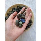  Đá thô Labradorite mini (Đá xà cừ - Hắc Nguyệt Quang) đá thanh tẩy Tarot, Reiki, đá thạch anh phong thủy 
