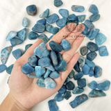 Tumbled Blue Apatite tự nhiên, đá thanh tẩy dùng trong Tarot, thiền định, Reiki, Phong thủy 