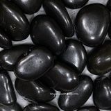  Tumbled đá Shungite bảo vệ, đá năng lượng, đá thanh tẩy, đá phong thủy trong Tarot, Reiki 