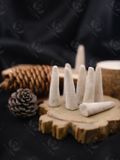  [ORGANIC TỰ NHIÊN] Nụ trầm Gỗ Thông Pine làm sạch không gian tươi mát, tăng cảm xúc tích cực 