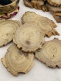  Đế gỗ Cedarwood tự nhiên, khoanh gỗ, lát gỗ tự nhiên, gỗ của cây Tuyết Tùng dùng Decor, đốt trầm, trưng bày đá tinh thể 